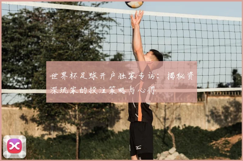 世界杯足球开户独家专访：揭秘资深玩家的投注策略与心得