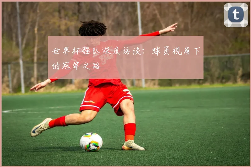 世界杯强队深度访谈:球员视角下的冠军之路