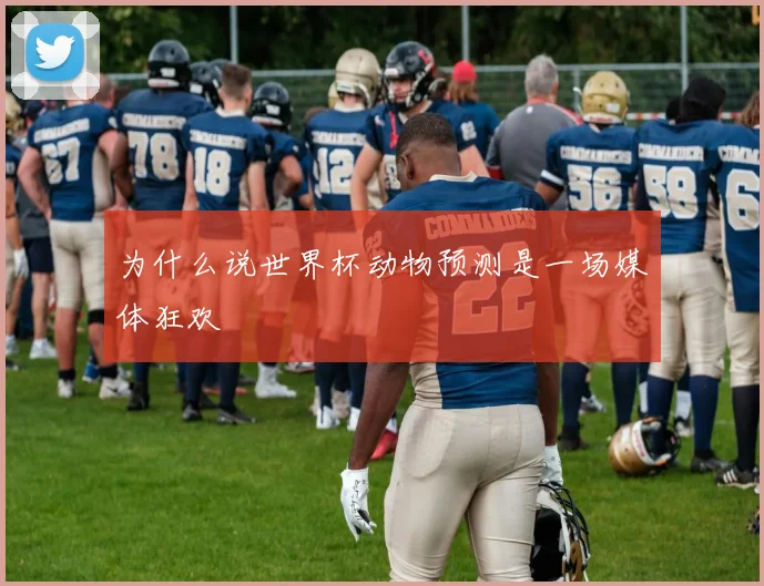 为什么说世界杯动物预测是一场媒体狂欢