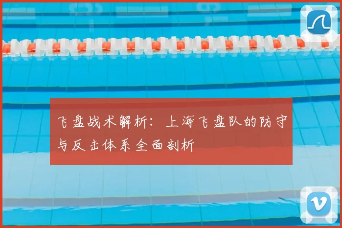 飞盘战术解析:上海飞盘队的防守与反击体系全面剖析