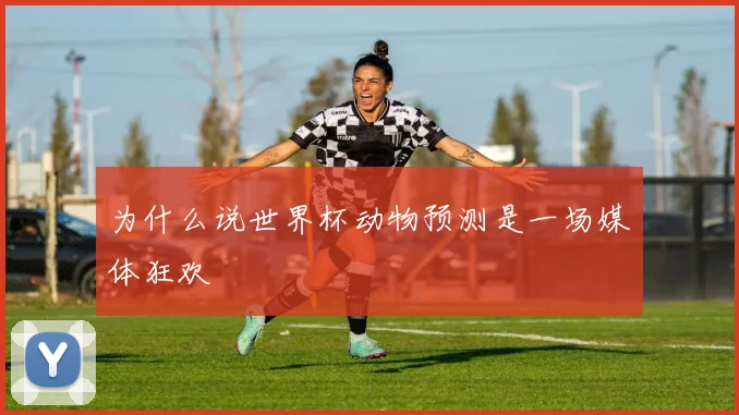 为什么说世界杯动物预测是一场媒体狂欢