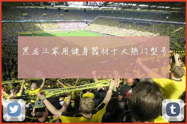 黑龙江家用健身器材十大热门型号