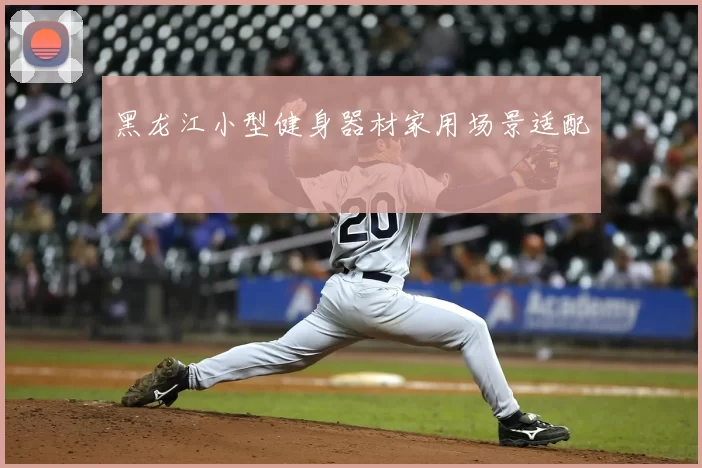 黑龙江小型健身器材家用场景适配